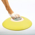 Dog Activity Memory Trainer